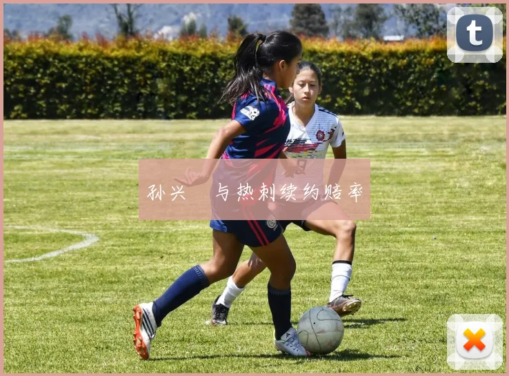孙兴慜与热刺续约赔率