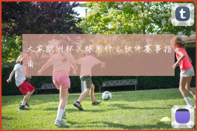 大家欧洲杯买球用什么软件赛事指南