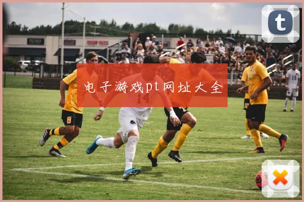 电子游戏pt网址大全