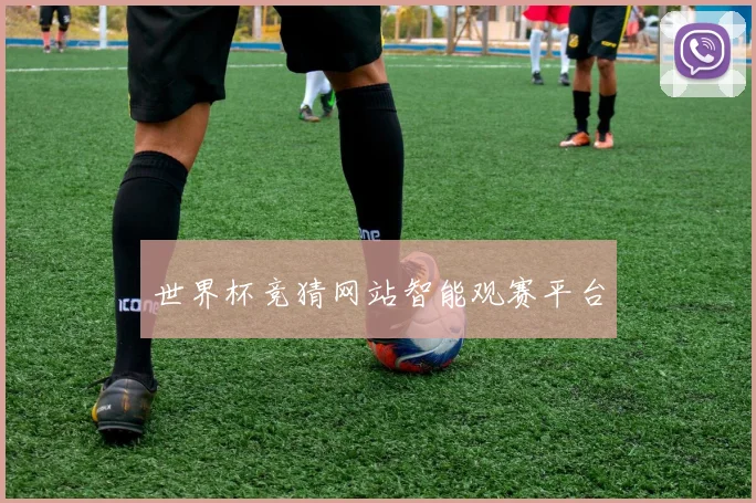 世界杯竞猜网站智能观赛平台