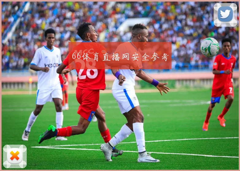 66体育直播网安全参考