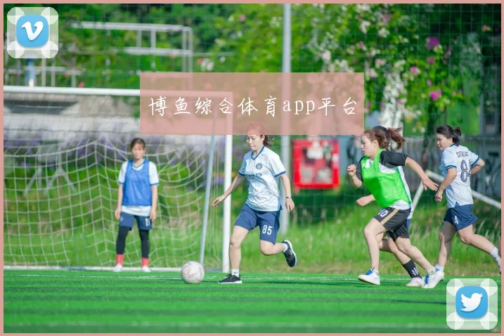 博鱼综合体育app平台