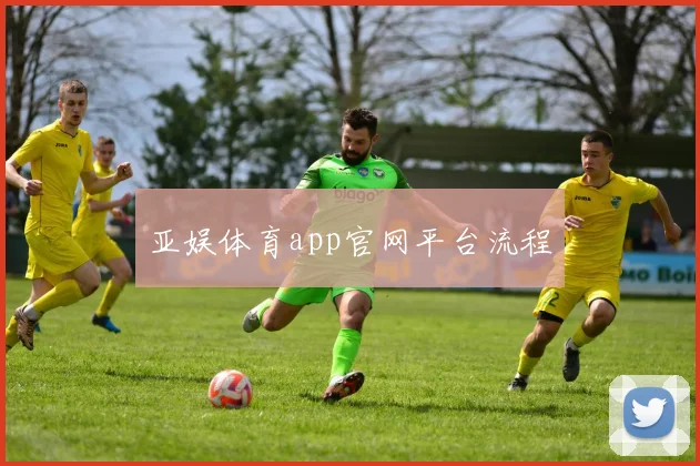 亚娱体育app官网平台流程