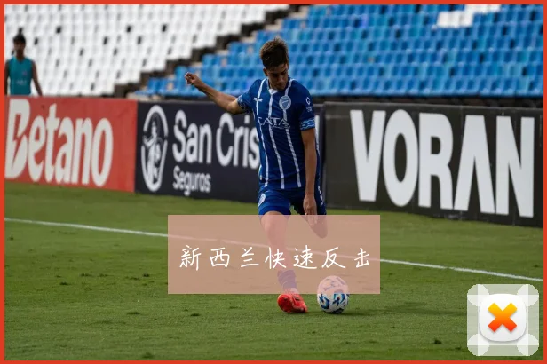 新西兰快速反击