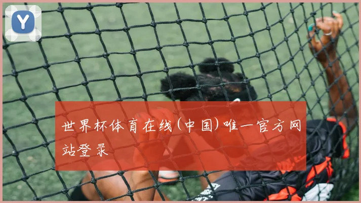 世界杯体育在线(中国)唯一官方网站登录