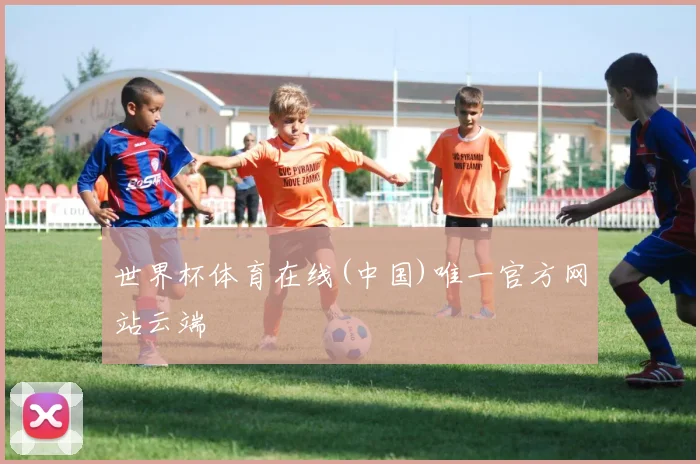 世界杯体育在线(中国)唯一官方网站云端