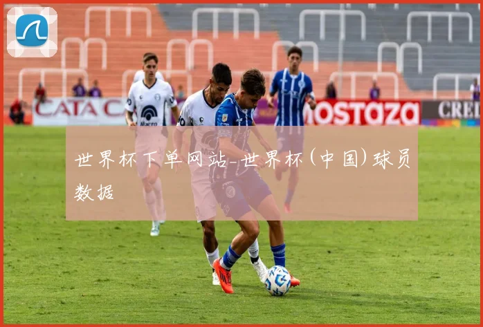 世界杯下单网站_世界杯(中国)球员数据