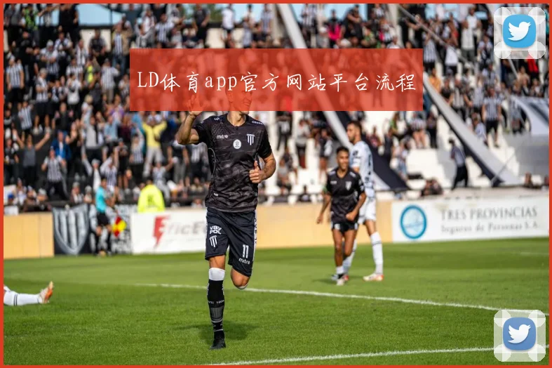 LD体育app官方网站平台流程