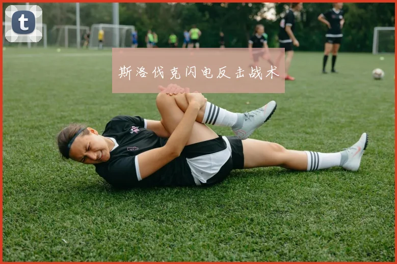 斯洛伐克闪电反击战术