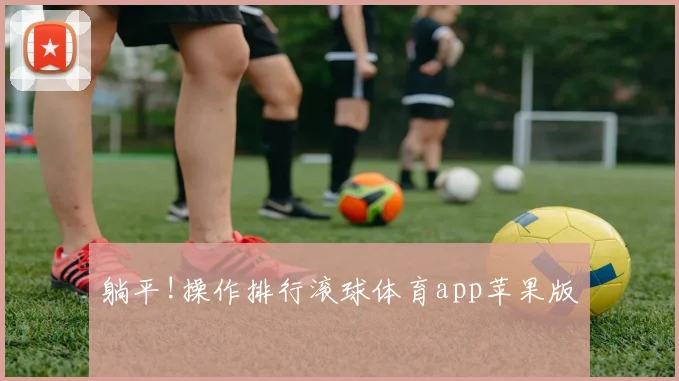 躺平!操作排行滚球体育app苹果版