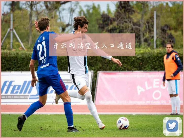 开云网站登录入口通道