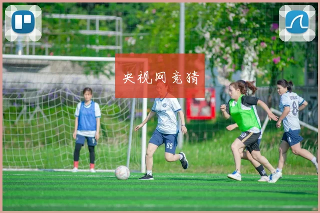 央视网竞猜