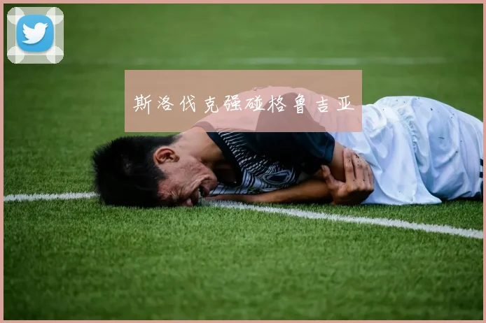 斯洛伐克强碰格鲁吉亚