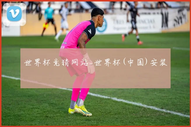 世界杯竞猜网站_世界杯(中国)安装