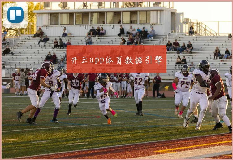开云app体育数据引擎