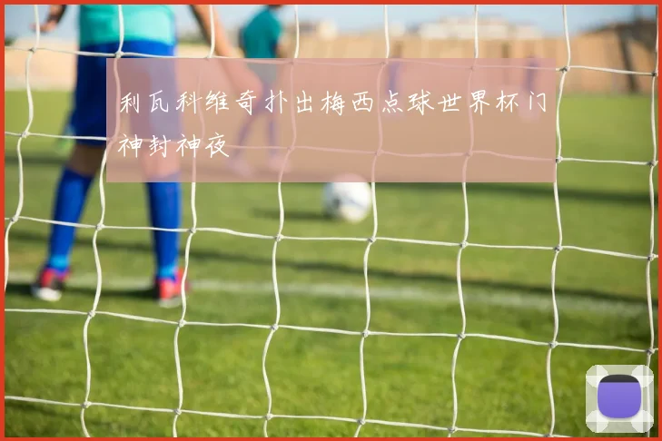 利瓦科维奇扑出梅西点球世界杯门神封神夜