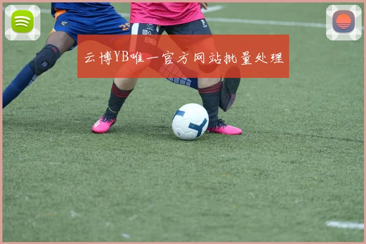 云博YB唯一官方网站批量处理