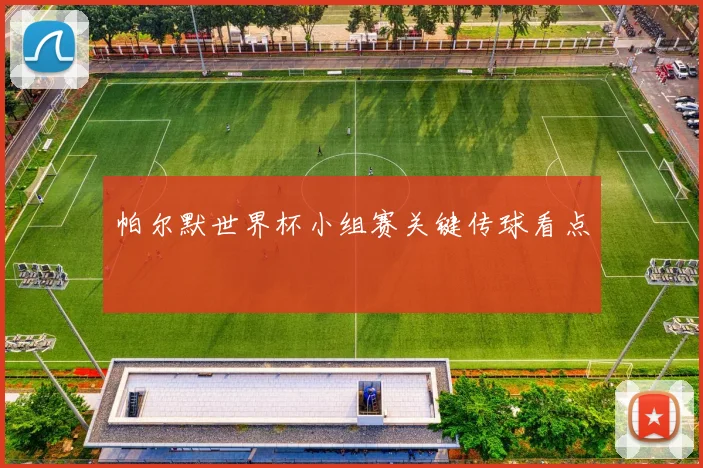 帕尔默世界杯小组赛关键传球看点