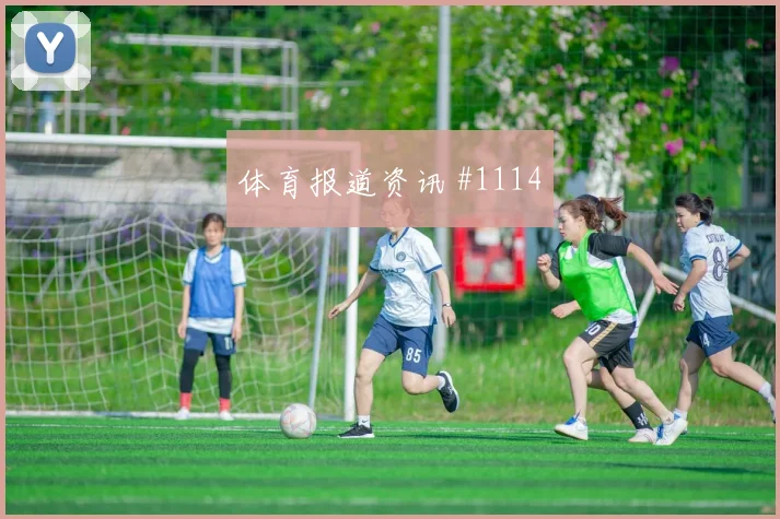 捷克vs韩国2026世界杯赛前热度