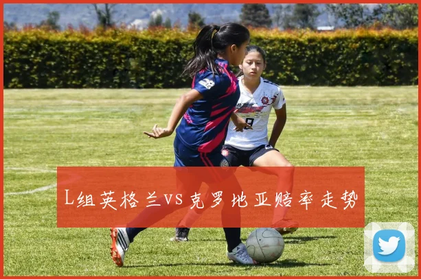 L组英格兰vs克罗地亚赔率走势