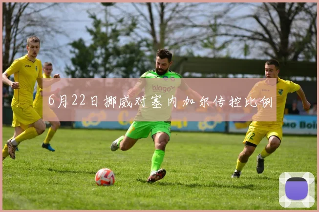6月22日挪威对塞内加尔传控比例